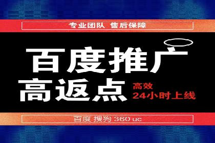 百度竞价广告投放案例解析